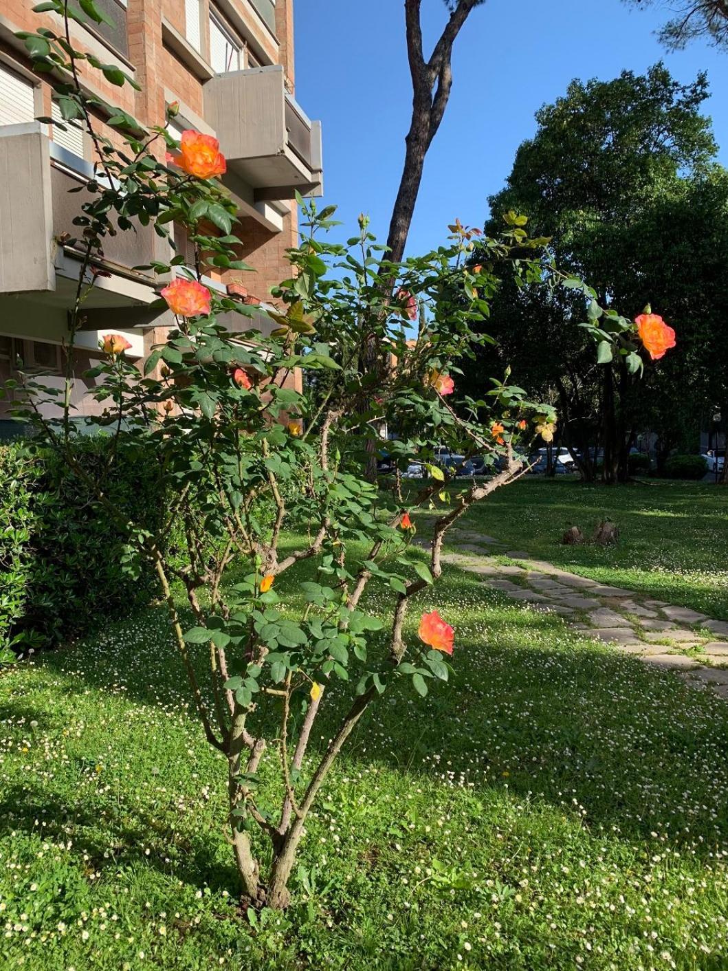 Apartment Sunshine